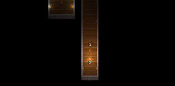 A long corridor running off into the dark, lit only by floor torches, with a small room visible at the far end.
